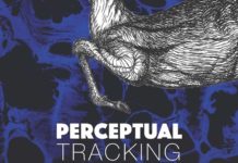 Perceptual Tracking: A Color Space