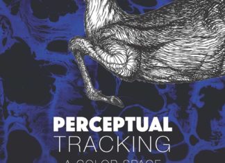 Perceptual Tracking: A Color Space