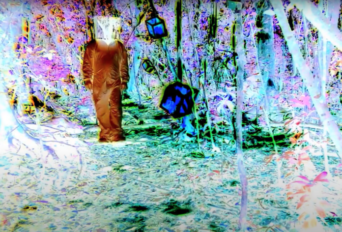 IN SITU: NATURE ACTION. Negative Cube