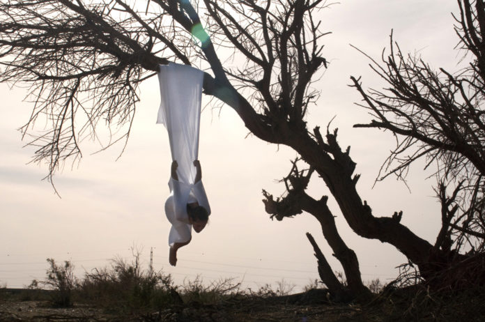 Neo-Domesticity Performance Art Festival