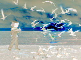 video art
