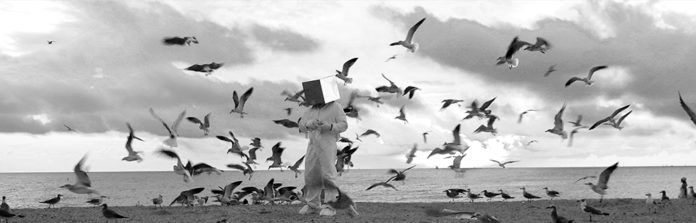 video art