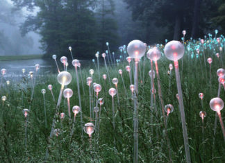 Longwood - Copyright © 2012 Bruce Munro. All rights reserved. Photography by Mark Pickthall #1