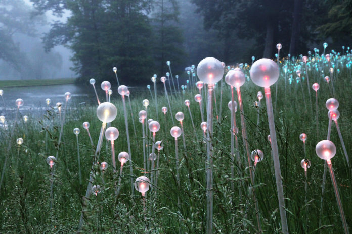 Longwood - Copyright © 2012 Bruce Munro. All rights reserved. Photography by Mark Pickthall #1