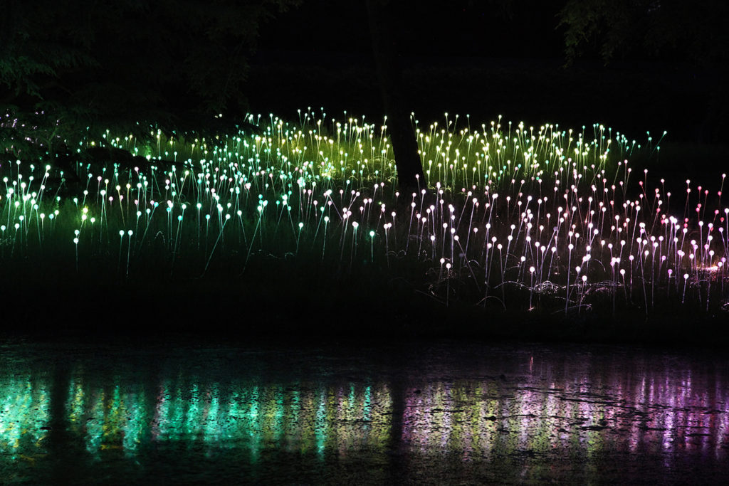 Longwood - Copyright © 2012 Bruce Munro. All rights reserved. Photography by Mark Pickthall #4