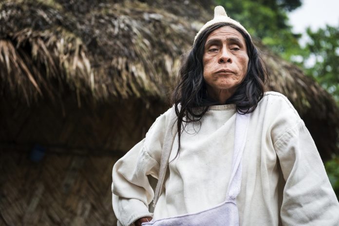 kogi people colombia