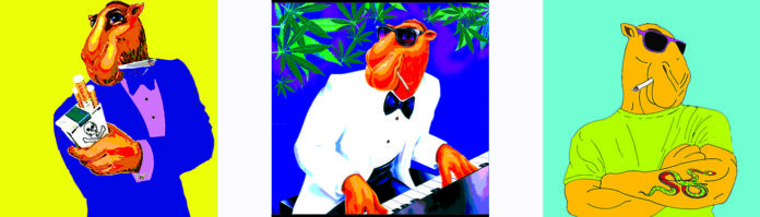 camel-Joe-Cool-NFT
