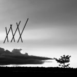 Ada Rivera Broken Nature Series I, 2020