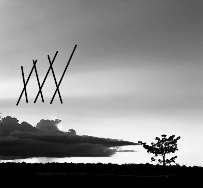Ada Rivera Broken Nature Series I, 2020
