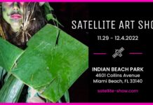 Satellite Art Show