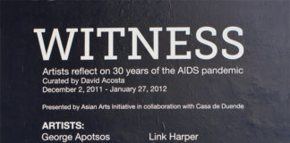 Witness: Artists Respond to 30 Years of the AIDS Pandemic.