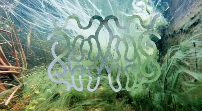 Everglades Artists in Residence
