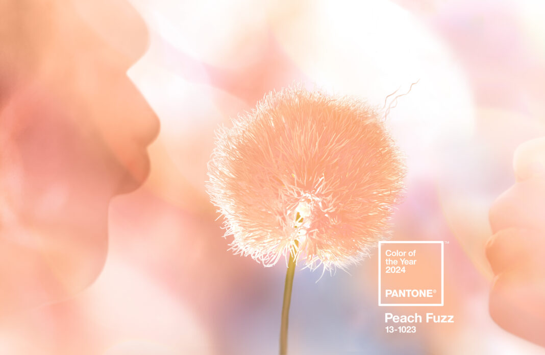 The Pantone Color of the Year 2024 has just been announced, and it’s PANTONE 13-1023 Peach Fuzz! 