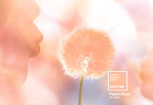 The Pantone Color of the Year 2024 has just been announced, and it’s PANTONE 13-1023 Peach Fuzz! 