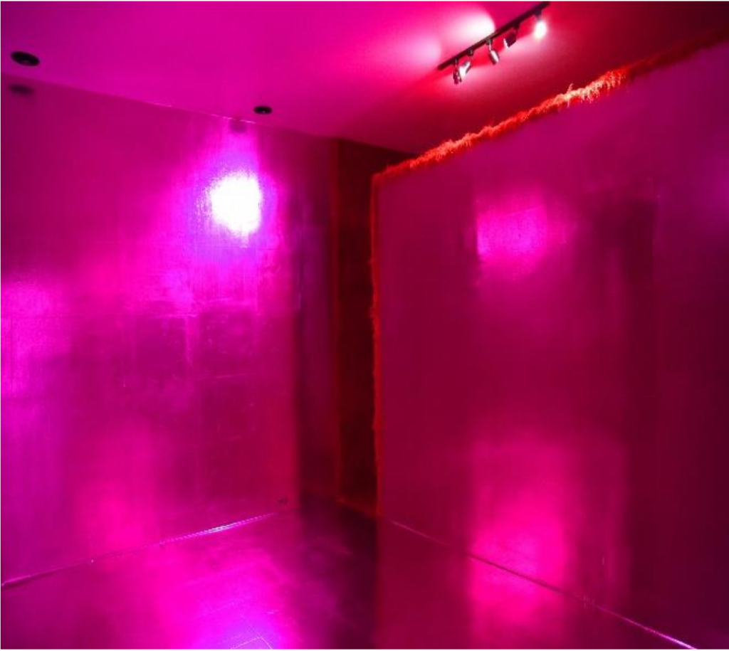 Renato Pera (Brasil) Gore Somnambulism (Pink Room / Red Room) Instalación in situ, 2024.