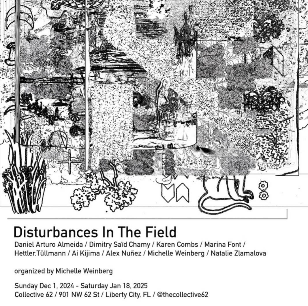 The Collective 62 Presents Disturbances in the Field Curated by Michelle Weinberg MIAMI ART WEEK