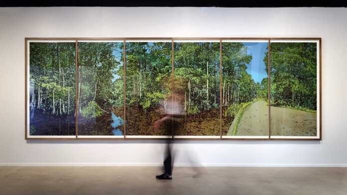 Jennifer Basile: In The Wake of Reflection