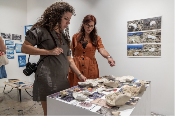 Andrew W. Mellon Caribbean Cultural Institute Curatorial Associate.