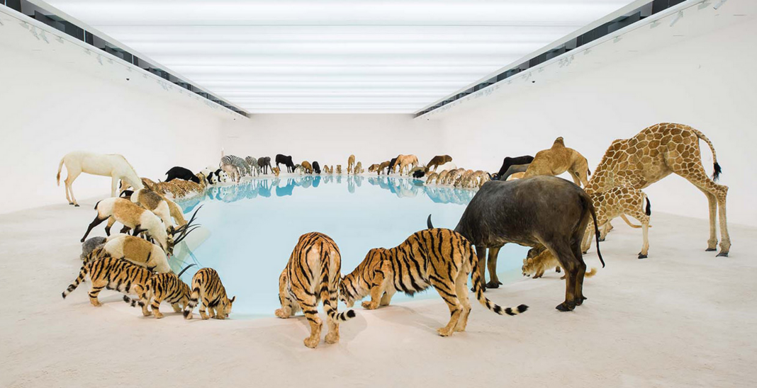 Contemporary Chinese Art