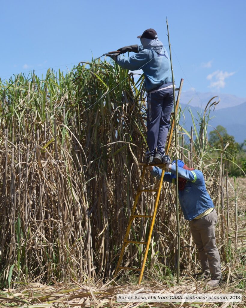 Adrián Sosa: Habitar una Nube (To Inhabit a Cloud)
