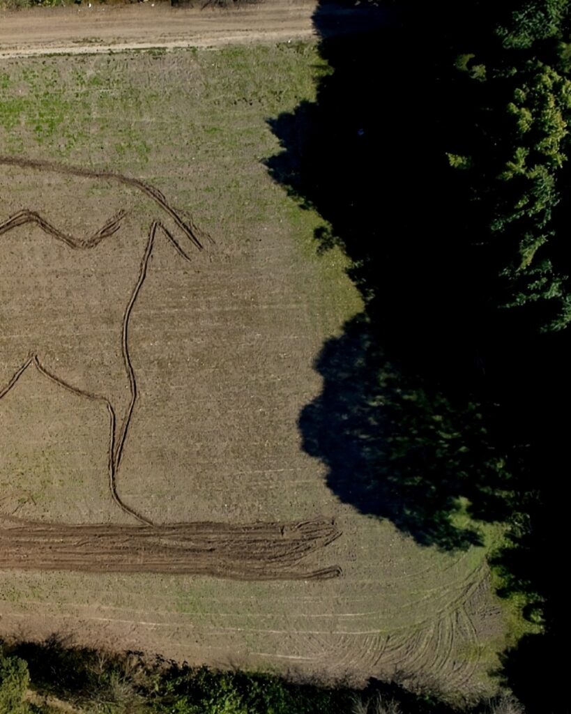 Adrián Sosa: Habitar una Nube (To Inhabit a Cloud)