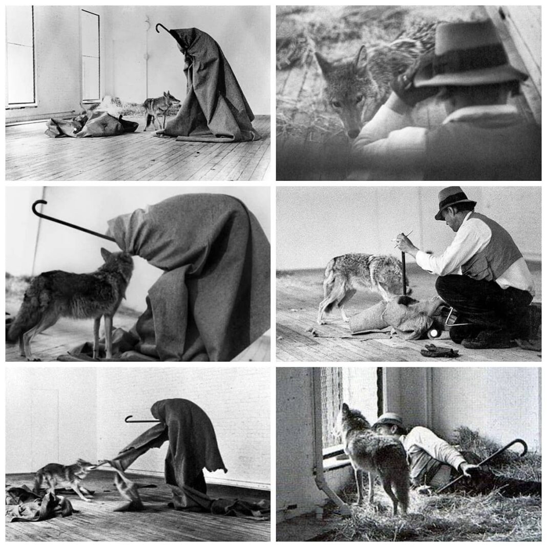 Performance Art- A Contemporary Artistic Chronicle Performance Art: A Contemporary Artistic Chronicle