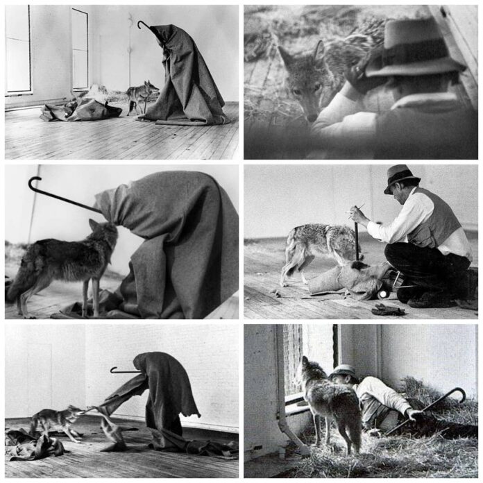 Performance Art: A Contemporary Artistic Chronicle