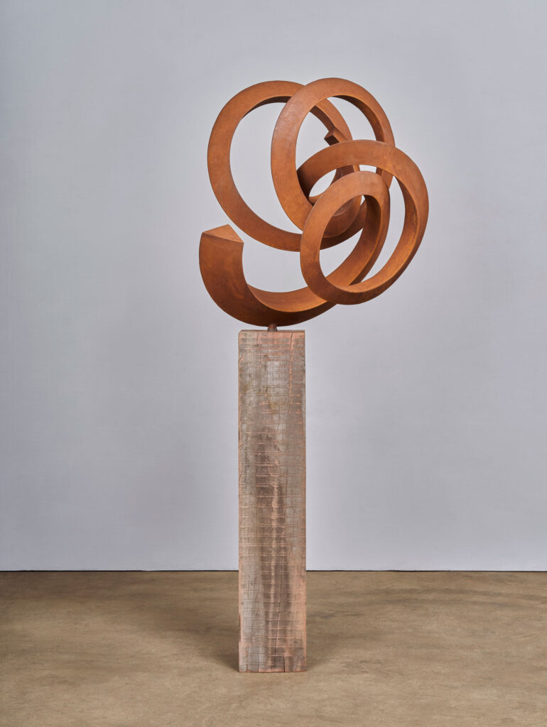 7_PieterObels_Hard-To-Hide_2025