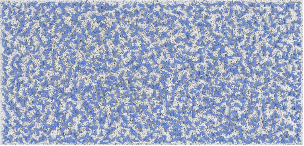 Jason Galbut, Ivy, 2023-2026 Jason Galbut, Ivy, 2023-2026