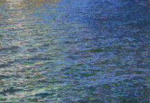 Still, Moving Brings Together Five Painters at Spinello Projects With the Sound of the Bird Dionnys Matos