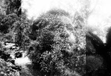 Álvaro J. Caviedes Álvaro J. Caviedes