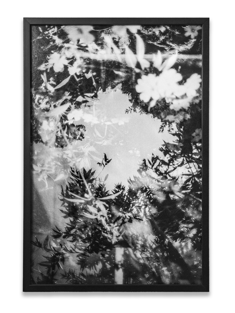 Alvaro Caviedes PORTALES I