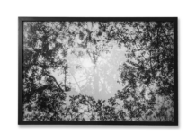 Álvaro J. Caviedes Alvaro Caviedes PORTALES II