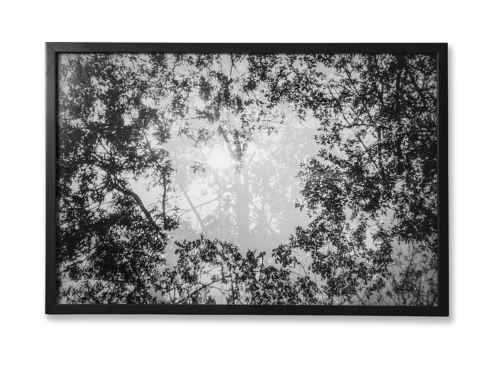 Alvaro Caviedes PORTALES II