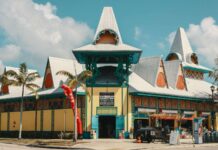 Mapping the Art Experience: How to Navigate Miami’s Gallery Ecosystem with Intention