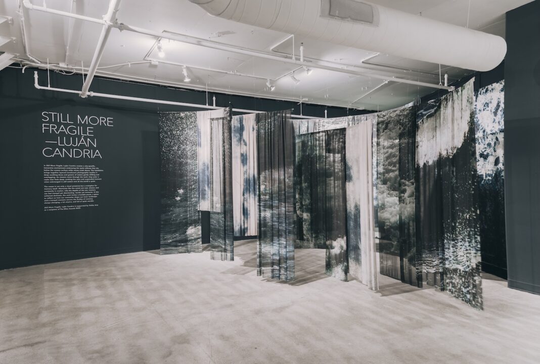 In Still More Fragile: Luján Candria - Faena Art Project Room