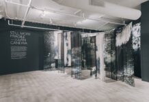 In Still More Fragile: Memory, Immersion, and the Unstable Image In Still More Fragile: Luján Candria - Faena Art Project Room