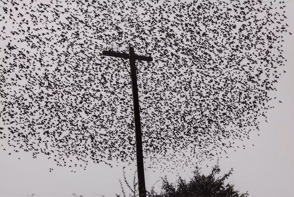 Fotografía de Graciela Iturbide.