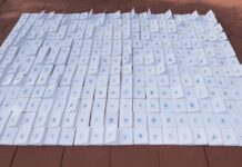 A Distant Blue Blanco, installation view. Rubén Darío Park, AIM BIENNIAL 2023–24