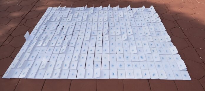 Blanco, installation view. Rubén Darío Park, AIM BIENNIAL 2023–24 