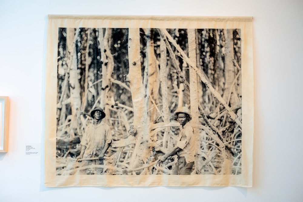 Archival labor / mangrove textile image