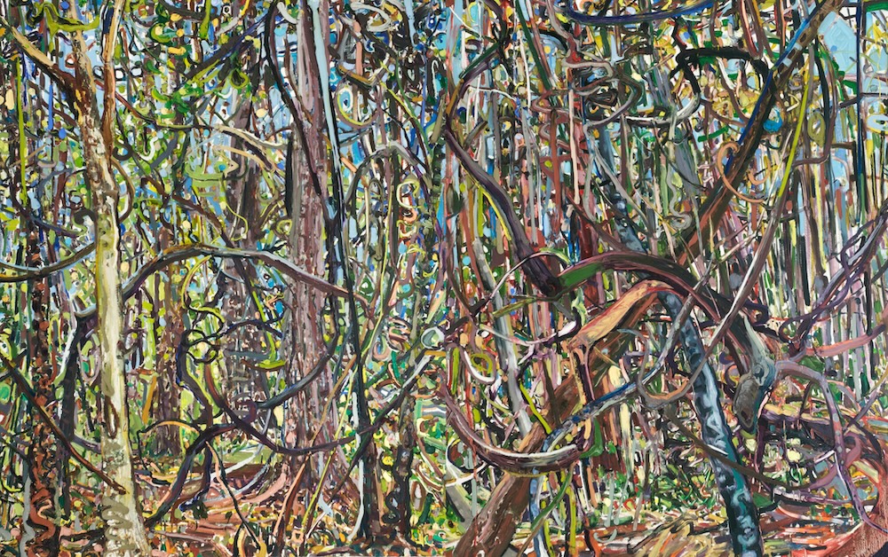 Lilian Garcia-Roig, Hyperbolic Nature