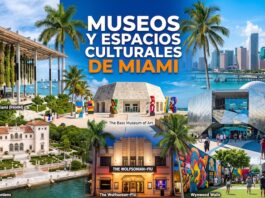 Museos y espacios culturales de Miami