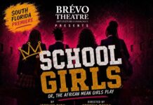 School Girls; Or, The African Mean Girls Play