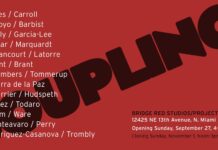 COUPLING returns at Bridge Red Studios/Project Space COUPLING