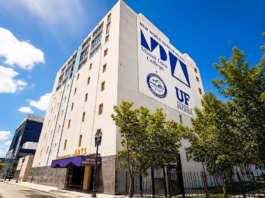 NEW WORLD SCHOOL OF THE ARTS