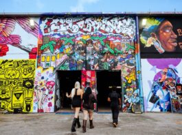 Wynwood as a Living Canvas