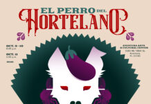 FUNDarte trae El perro del hortelano, bajo la dirección de Carlos Díaz El-perro-verde