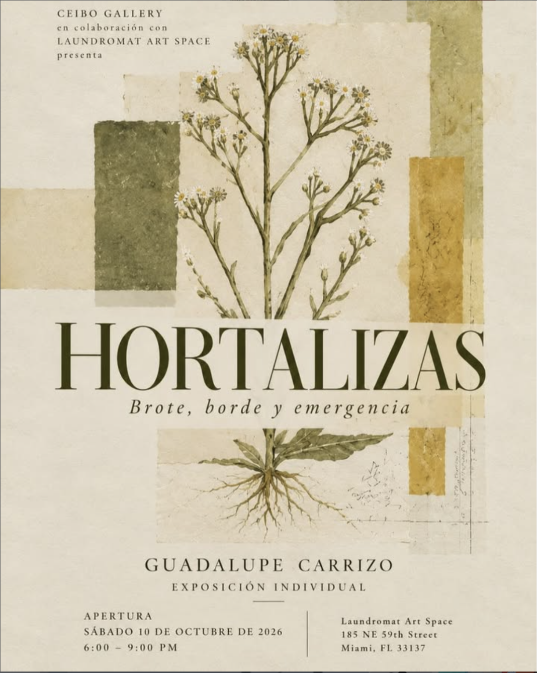 Guadalupe Carrizo Presents Hortalizas